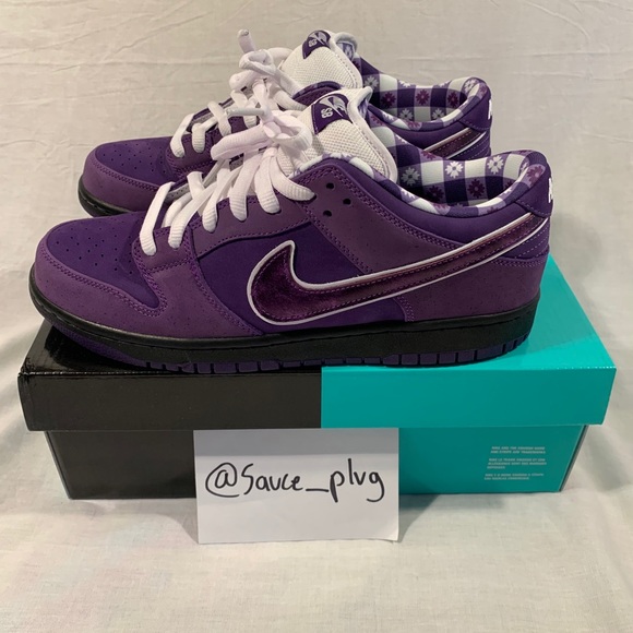 Nike SB Dunk Concepts Purple Lobster